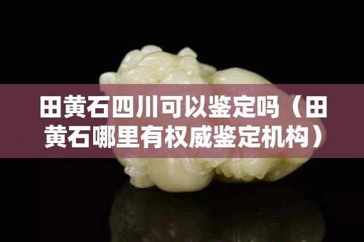 田黄石四川可以鉴定吗（田黄石哪里有权威鉴定机构）