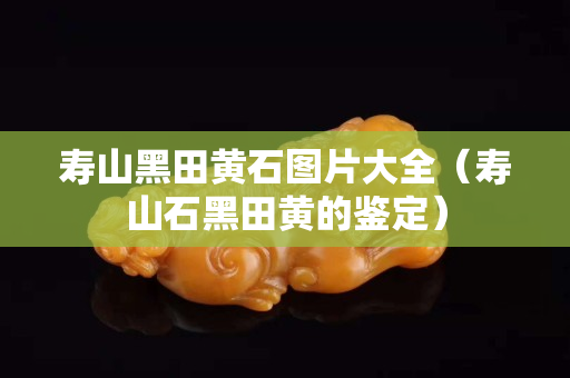 寿山黑田黄石图片大全（寿山石黑田黄的鉴定）
