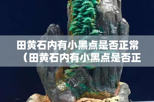 田黄石内有小黑点是否正常（田黄石内有小黑点是否正常图片）