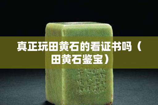 真正玩田黄石的看证书吗（田黄石鉴宝）