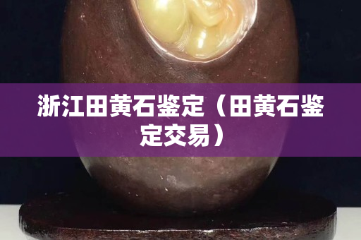 浙江田黄石鉴定（田黄石鉴定交易）