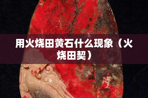 用火烧田黄石什么现象（火烧田契）