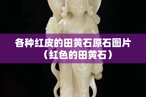 各种红皮的田黄石原石图片（红色的田黄石）