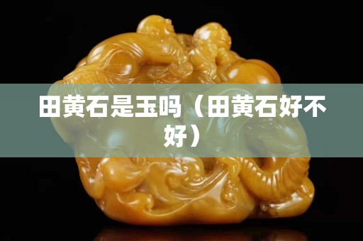 田黄石是玉吗（田黄石好不好）