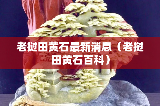 老挝田黄石最新消息（老挝田黄石百科）
