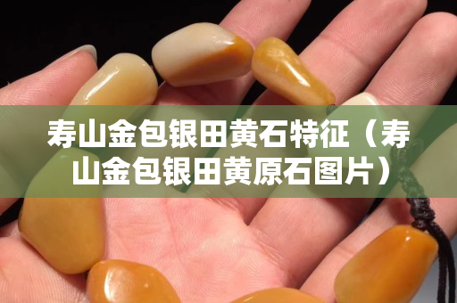 寿山金包银田黄石特征（寿山金包银田黄原石图片）