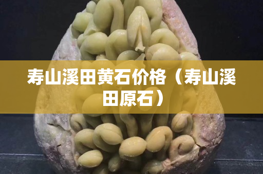 寿山溪田黄石价格（寿山溪田原石）