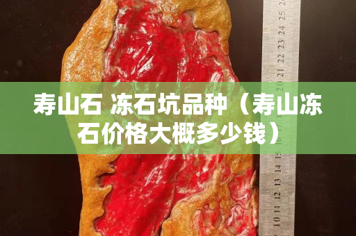 寿山石 冻石坑品种（寿山冻石价格大概多少钱）