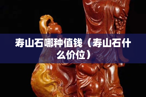 寿山石哪种值钱（寿山石什么价位）