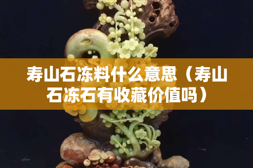寿山石冻料什么意思（寿山石冻石有收藏价值吗）
