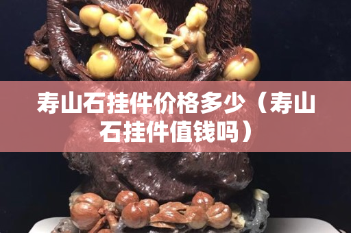 寿山石挂件价格多少（寿山石挂件值钱吗）