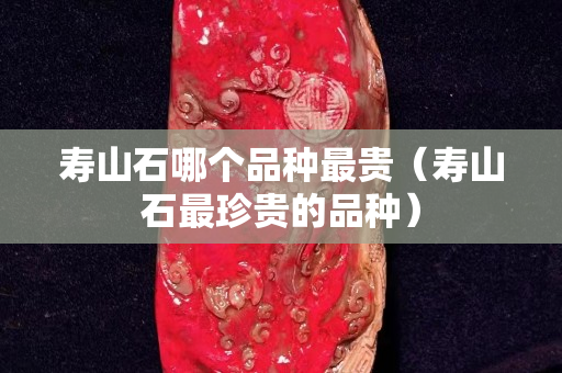 寿山石哪个品种最贵（寿山石最珍贵的品种）