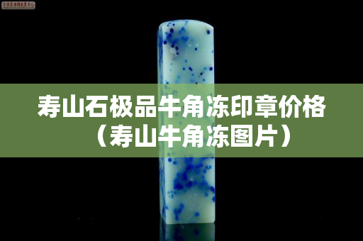 寿山石极品牛角冻印章价格（寿山牛角冻图片）