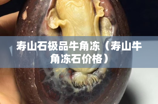 寿山石极品牛角冻（寿山牛角冻石价格）