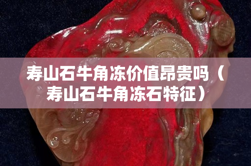 寿山石牛角冻价值昂贵吗（寿山石牛角冻石特征）