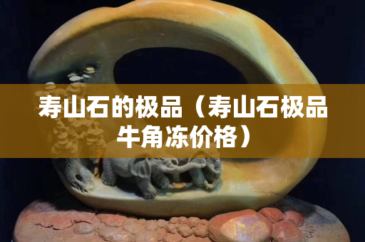 寿山石的极品（寿山石极品牛角冻价格）