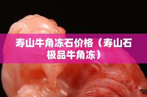 寿山牛角冻石价格（寿山石极品牛角冻）