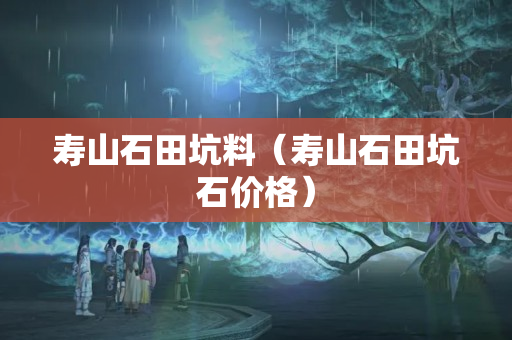 寿山石田坑料（寿山石田坑石价格）