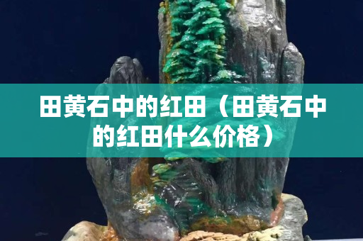 田黄石中的红田（田黄石中的红田什么价格）