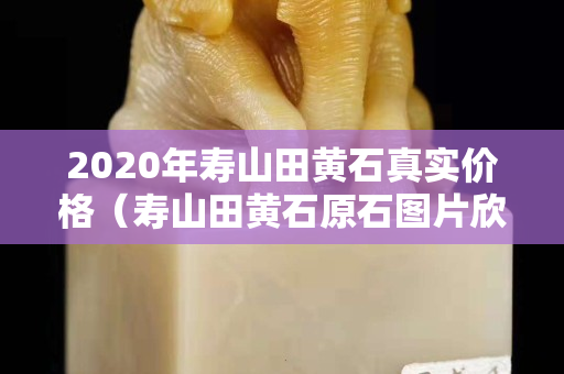 2020年寿山田黄石真实价格（寿山田黄石原石图片欣赏）