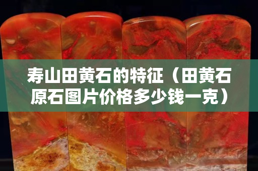 寿山田黄石的特征（田黄石原石图片价格多少钱一克）
