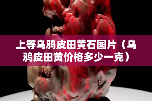 上等乌鸦皮田黄石图片（乌鸦皮田黄价格多少一克）