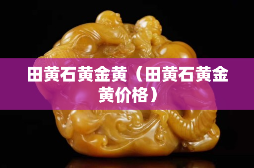 田黄石黄金黄（田黄石黄金黄价格）