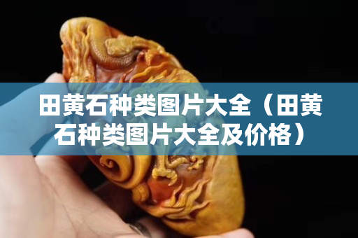 田黄石种类图片大全（田黄石种类图片大全及价格）