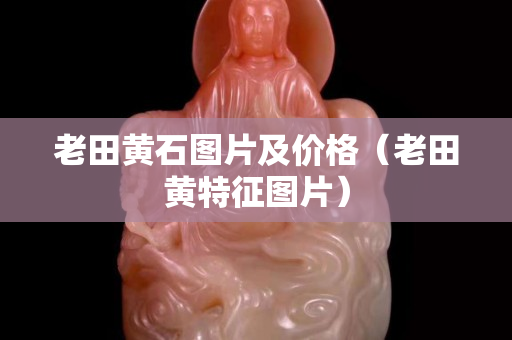 老田黄石图片及价格（老田黄特征图片）
