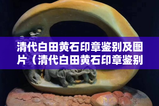 清代白田黄石印章鉴别及图片（清代白田黄石印章鉴别及图片及价格）