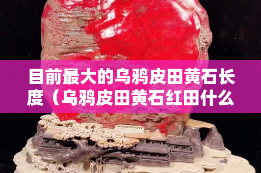 目前最大的乌鸦皮田黄石长度（乌鸦皮田黄石红田什么价格）