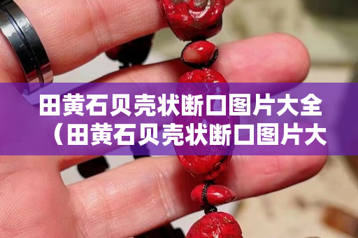 田黄石贝壳状断口图片大全（田黄石贝壳状断口图片大全及价格）