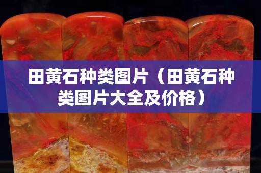 田黄石种类图片（田黄石种类图片大全及价格）