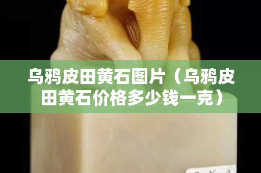 乌鸦皮田黄石图片（乌鸦皮田黄石价格多少钱一克）