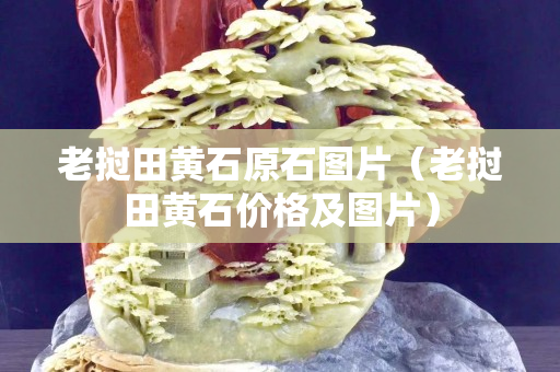 老挝田黄石原石图片（老挝田黄石价格及图片）
