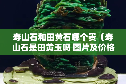 寿山石和田黄石哪个贵（寿山石是田黄玉吗 图片及价格）