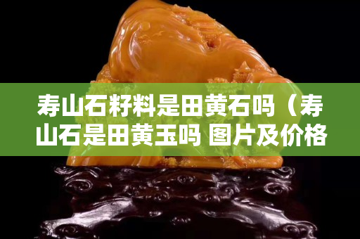 寿山石籽料是田黄石吗（寿山石是田黄玉吗 图片及价格）