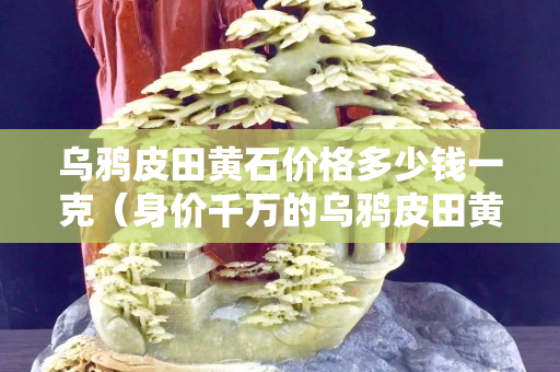 乌鸦皮田黄石价格多少钱一克（身价千万的乌鸦皮田黄）