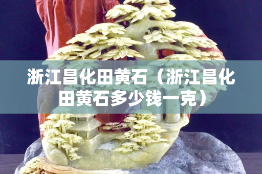 浙江昌化田黄石（浙江昌化田黄石多少钱一克）