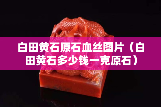 白田黄石原石血丝图片（白田黄石多少钱一克原石）