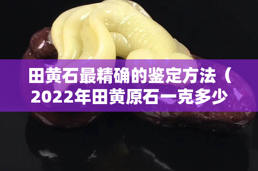 田黄石最精确的鉴定方法（2022年田黄原石一克多少钱）