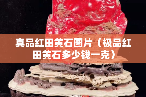 真品红田黄石图片（极品红田黄石多少钱一克）