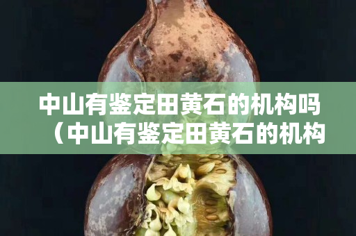 中山有鉴定田黄石的机构吗（中山有鉴定田黄石的机构吗多少钱）