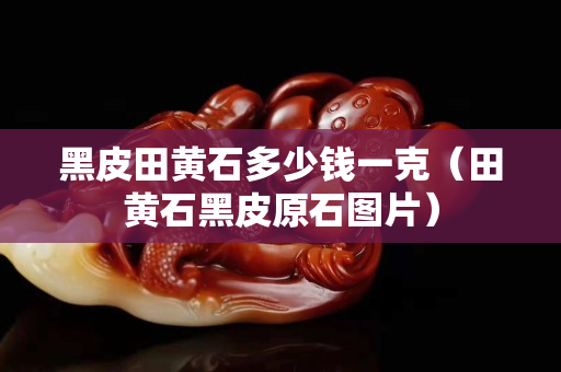黑皮田黄石多少钱一克（田黄石黑皮原石图片）