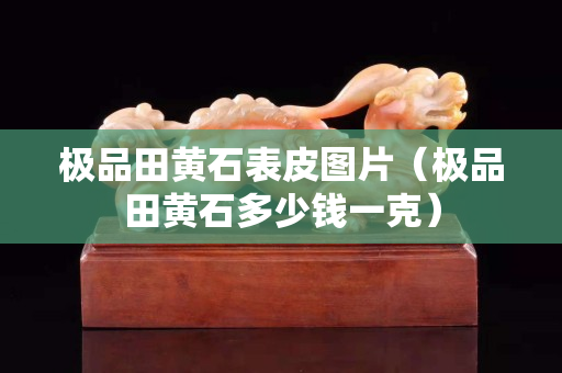 极品田黄石表皮图片（极品田黄石多少钱一克）
