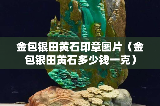 金包银田黄石印章图片（金包银田黄石多少钱一克）