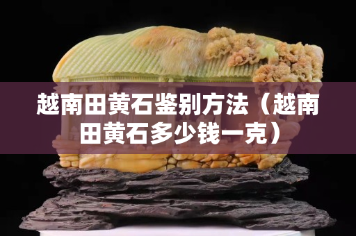 越南田黄石鉴别方法（越南田黄石多少钱一克）