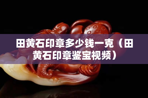 田黄石印章多少钱一克（田黄石印章鉴宝视频）
