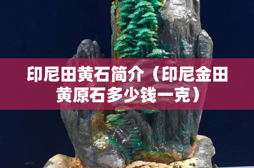 印尼田黄石简介（印尼金田黄原石多少钱一克）
