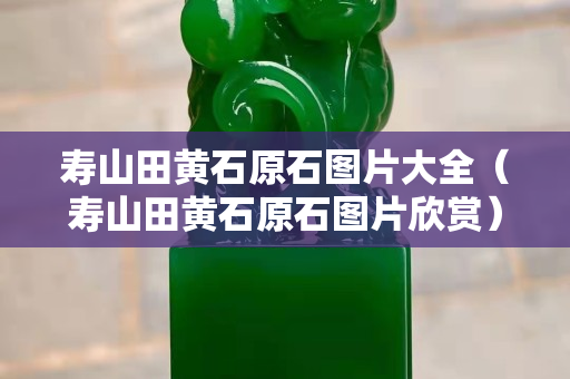 寿山田黄石原石图片大全（寿山田黄石原石图片欣赏）